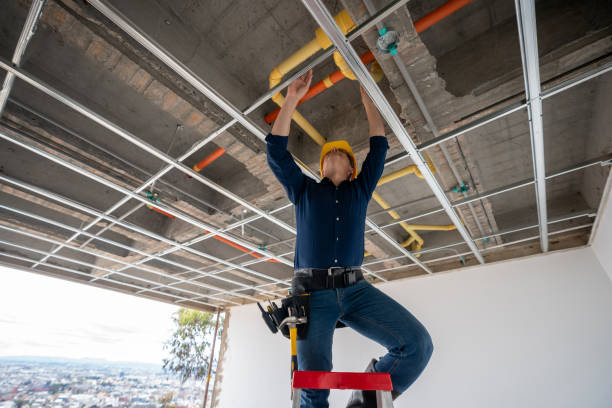 Best Toilet Repair Services  in Dexter, NM